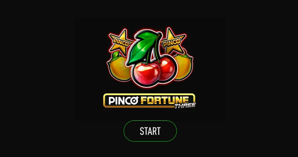 pinco fortune 3